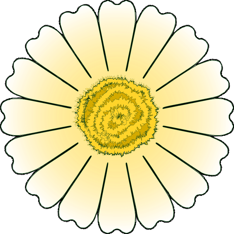 daisy