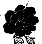 flower1