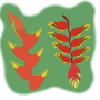 flower2