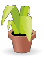flower6